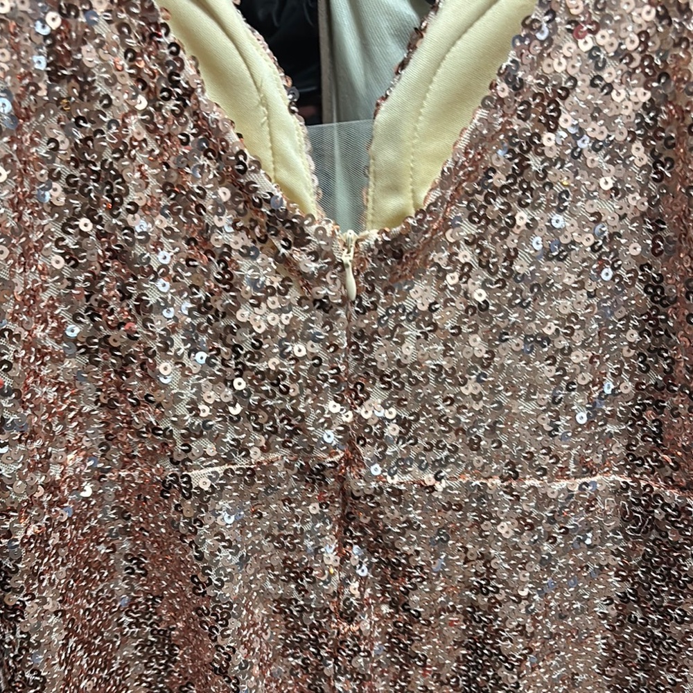 Sparkling Sequin Dress - Picture 3 of 4